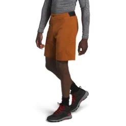 The North Face Paramount Active Mens Shorts -Outlet The North Face Store NF0A3SOA79LR 30F 2