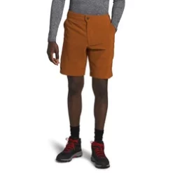 The North Face Paramount Active Mens Shorts