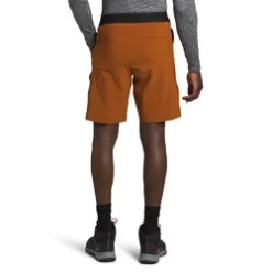 The North Face Paramount Active Mens Shorts -Outlet The North Face Store NF0A3SOA79LR 30F 3