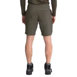 The North Face Paramount Active Mens Shorts -Outlet The North Face Store NF0A3SOA79LR 30F 5