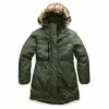 The North Face Downtown Arctic Parka Womens Waterproof Insulated Jacket