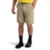 The North Face Paramount Trail Mens Hiking Shorts