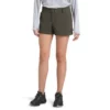 The North Face Paramount Active Womens Hiking Shorts