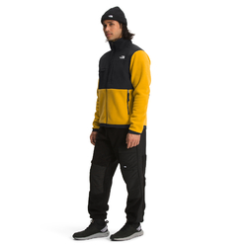 The North Face Denali 2 Mens Fleece Jacket