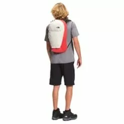The North Face Alamere 18L Daypack