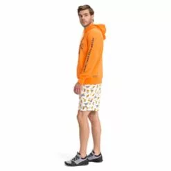 The North Face Himalayan Bottle Source Pullover Mens Hoodie -Outlet The North Face Store NF0A5328 2