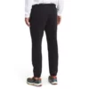 The North Face Coordinates Mens Pant